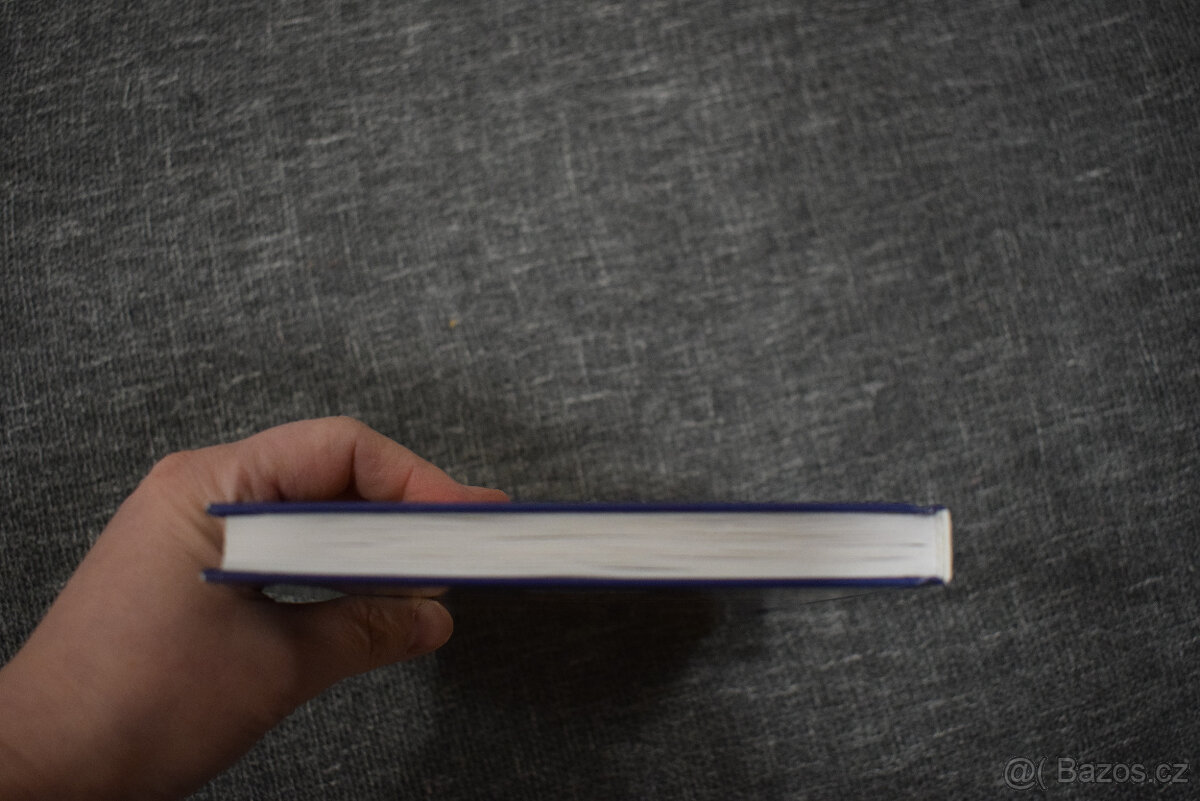 Letci jdou bojovat - Václav Kubec - 8