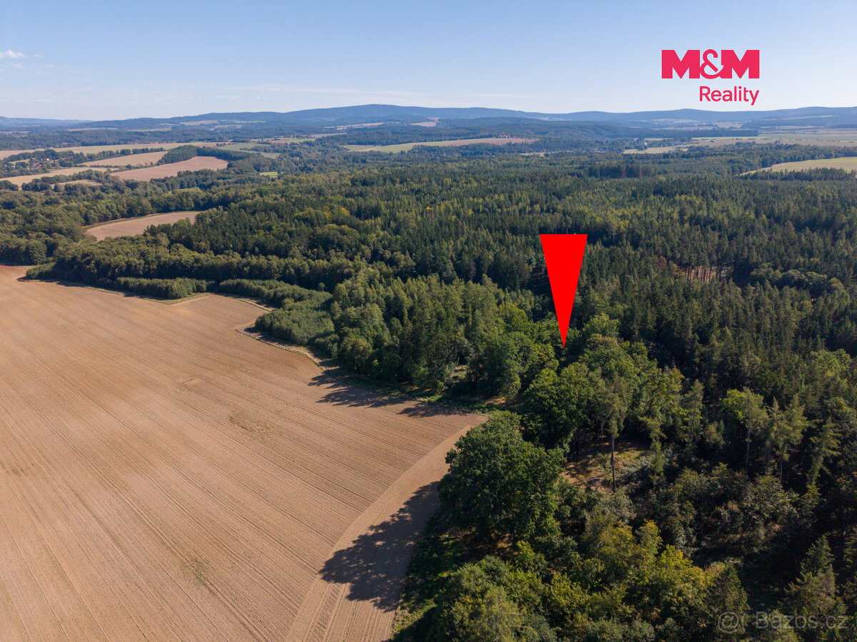 Prodej lesa, 1.757 m², Podhrad, Cheb - 8