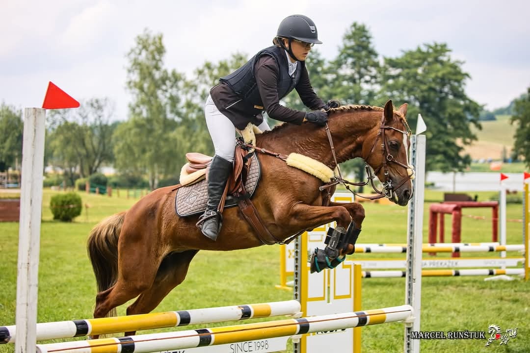Pony B do sportu - 8