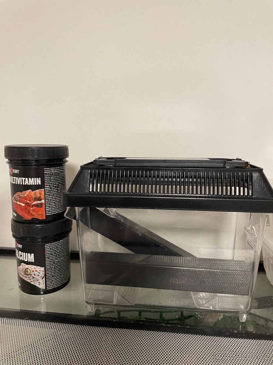 Pegekon řasnatý - 8