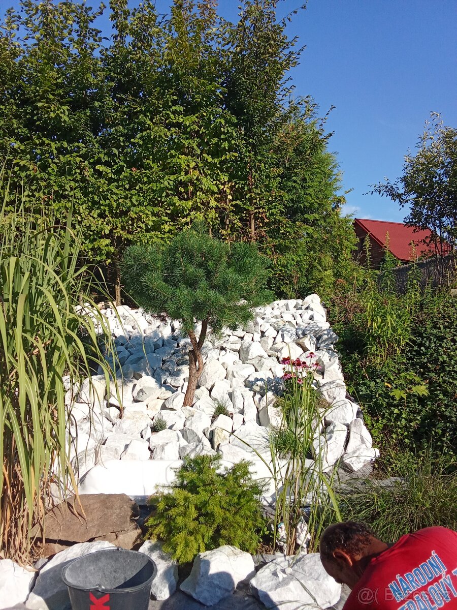 práce brigáda dřevo - 8