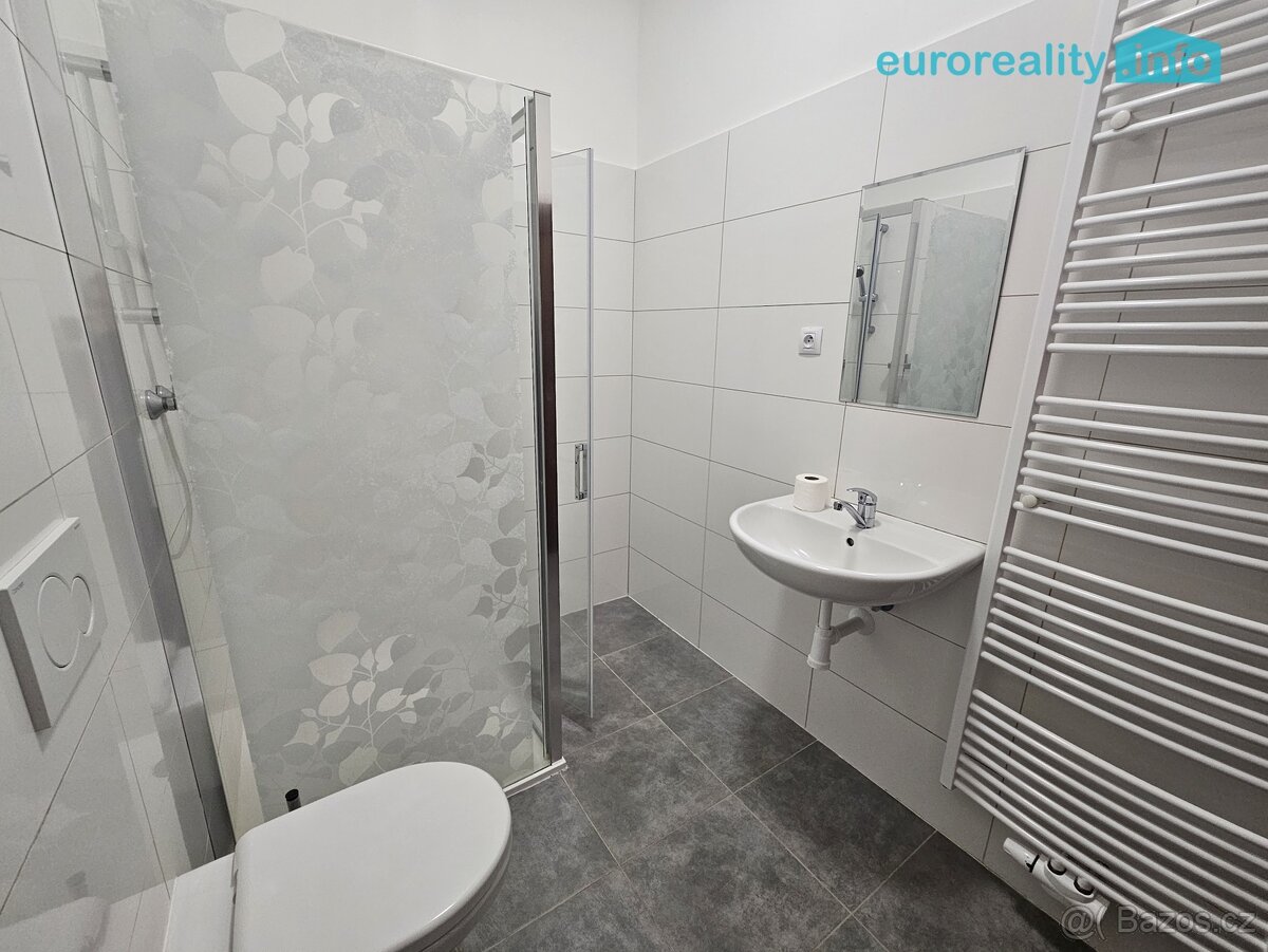 Pronájem, byt 3+kk, 56 m2, Luby, ul. Revoluční - 8