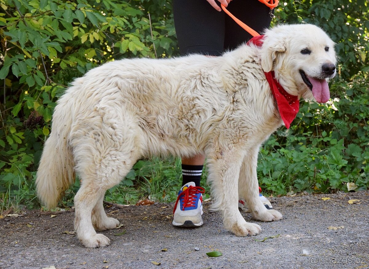 Coraz hledá domov - 8