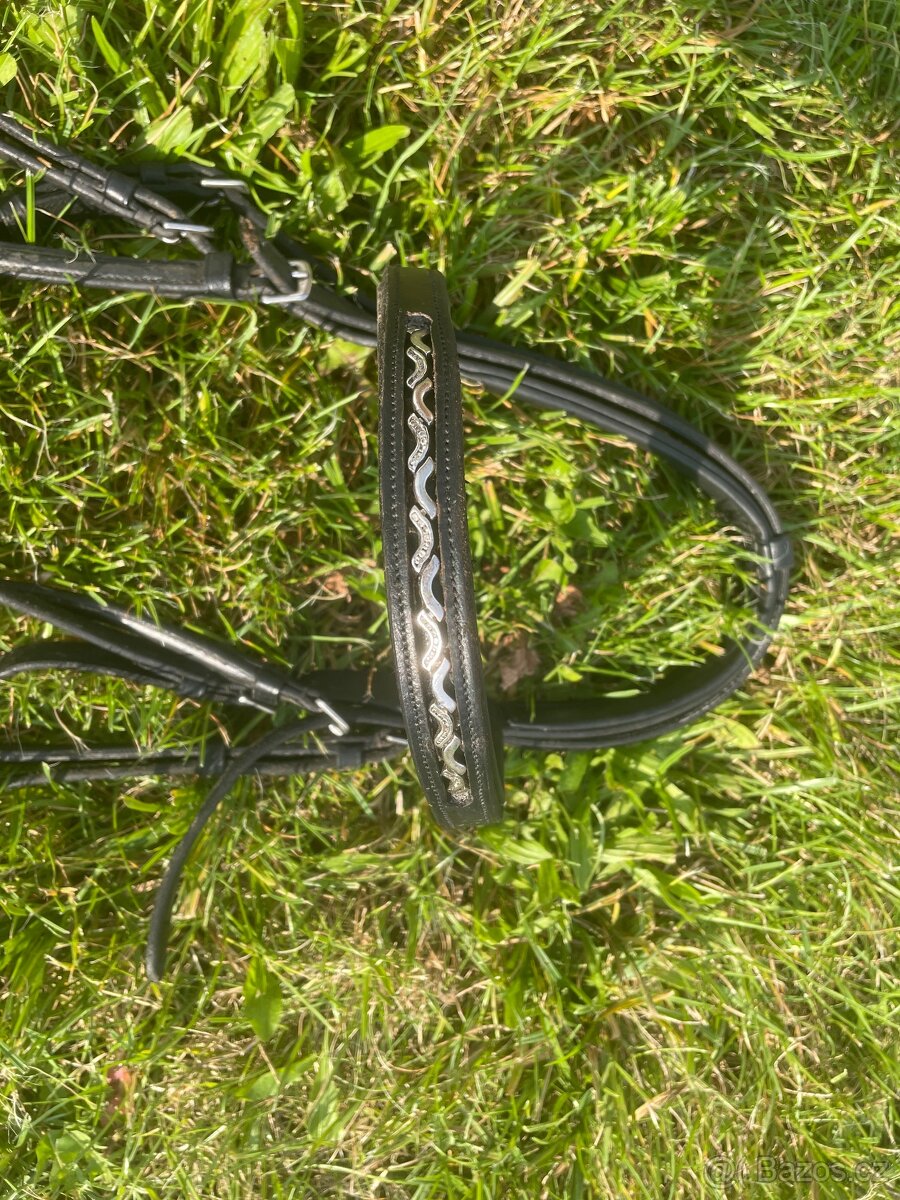 Drezurní uzdečka - 8