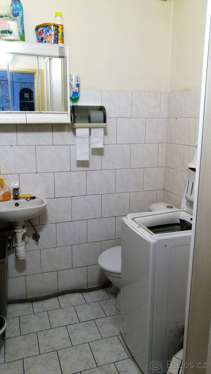 Pronájem 1+kk v bytovém domě se zahradou - 8