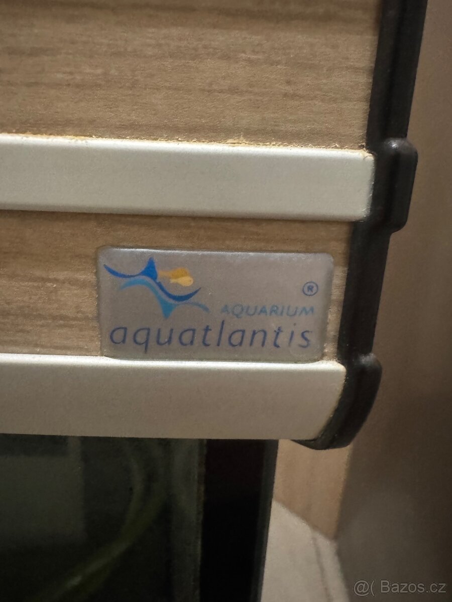 Rohové akváriu - 8