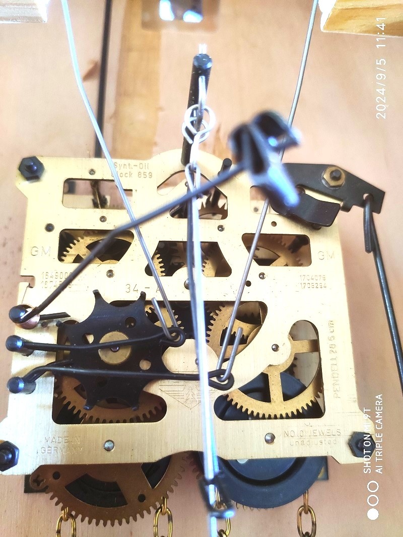 Velke Kukacky, 8 denni ,nove, Nemecko - 8