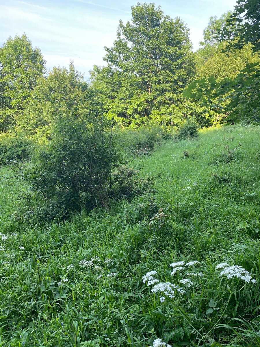 Pronajmu zahradu - 8