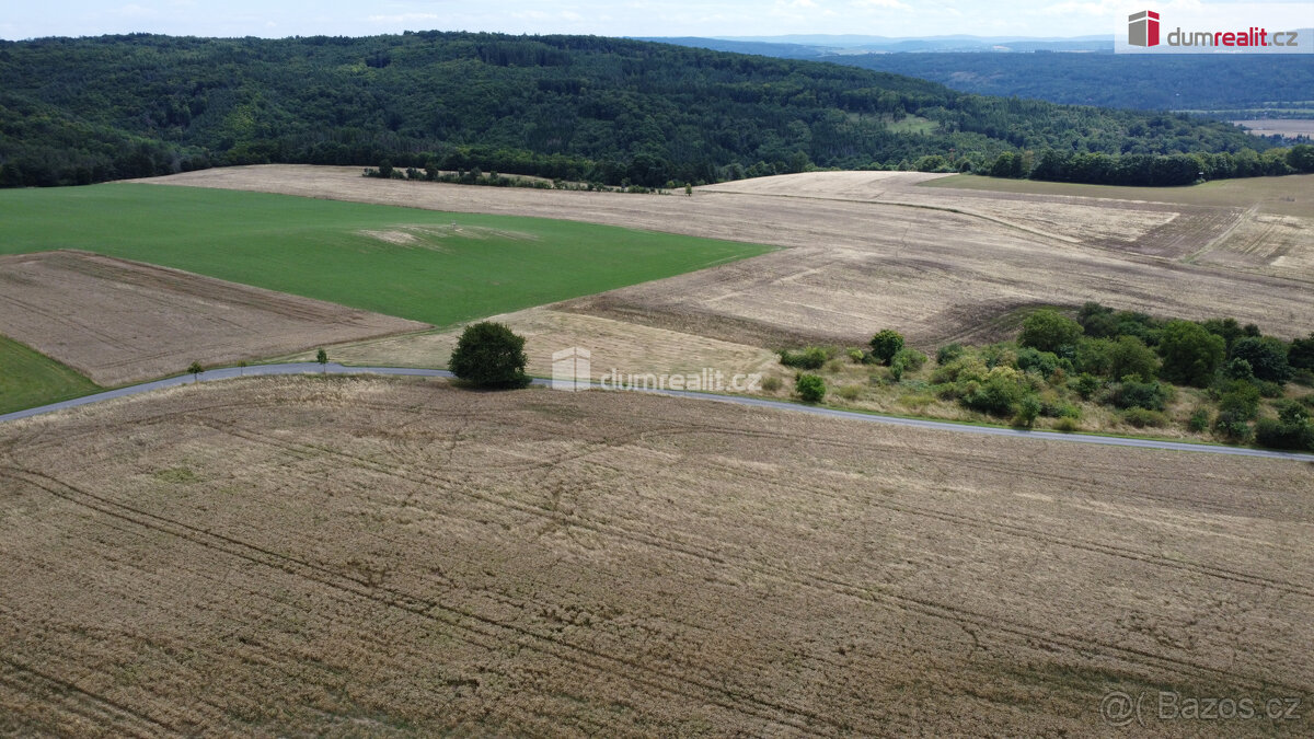 Prodej pozemku 3943 m2, Sýkořice - 8