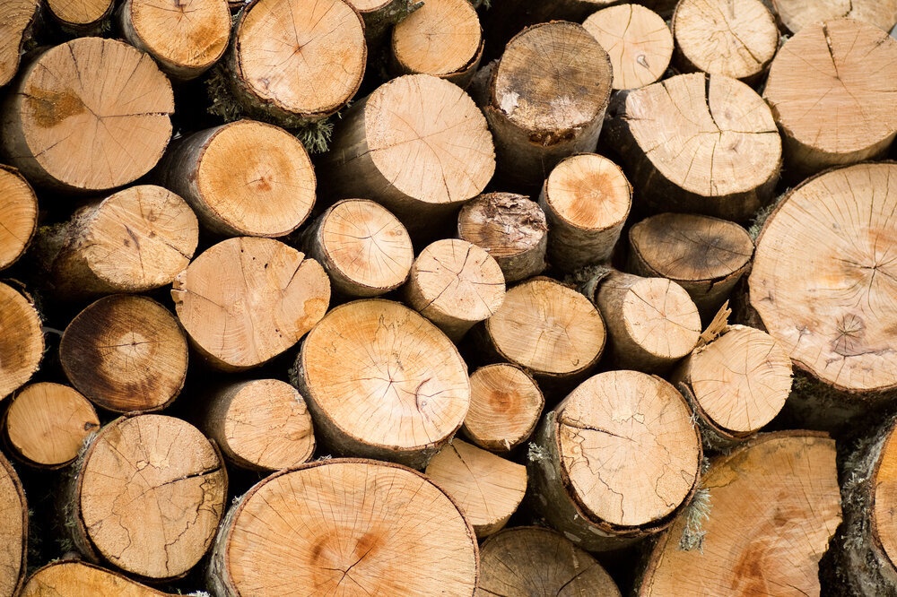 Palivové dřevo tvrdé SUCHÉ AKCE měkké mix i špalky mix - 8