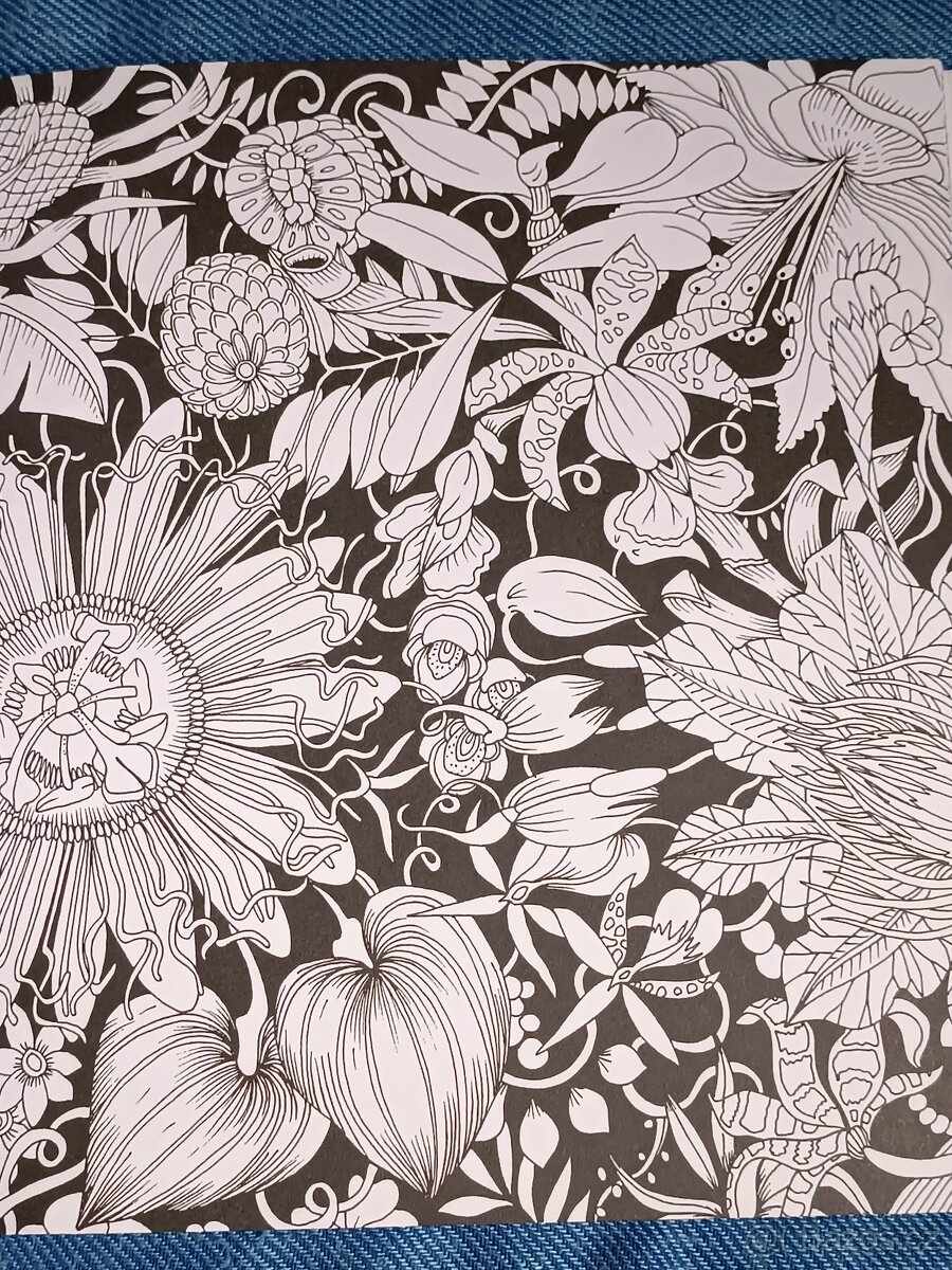 Omalovánky pro dospělé Exotický prales - 8