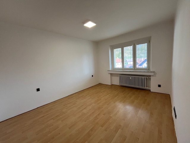 Pronájem bytu 3+1 Vizovice - 8