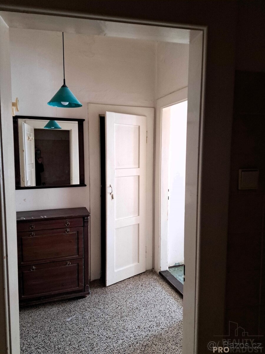 Pronájem bytu 1+1 48 m² U staré pošty, Praha - Braník - 8