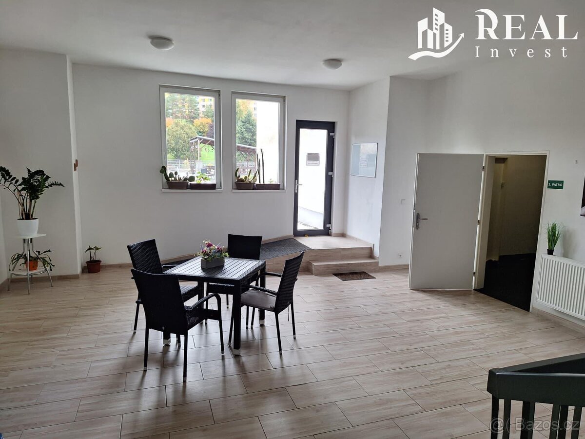 Pronájem, byt 1kk, 30m2, ul. Nám. 8. května, Meziboří - 8