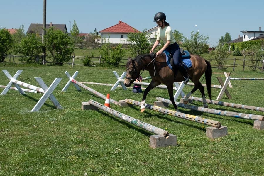 4-letý valášek - 8