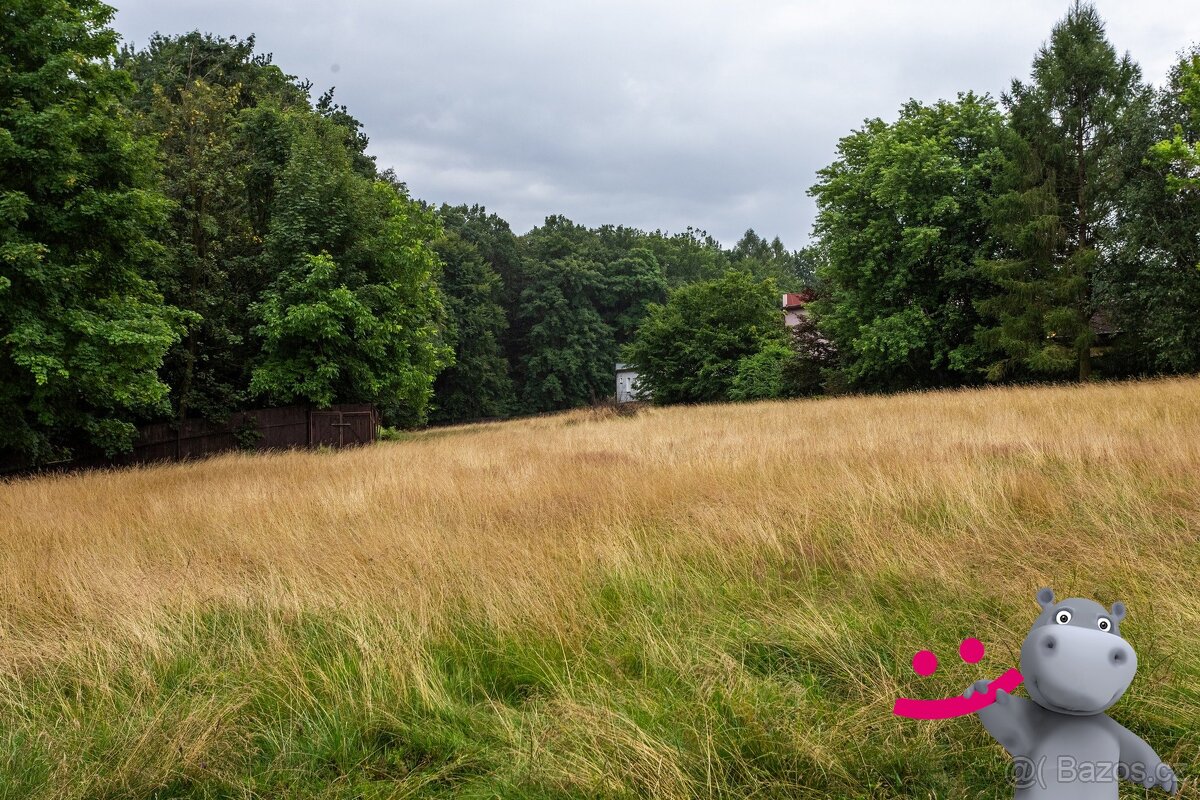 Prodej rodinného domu 342 m², Šenov s pozemkem 15.938m2 - 8