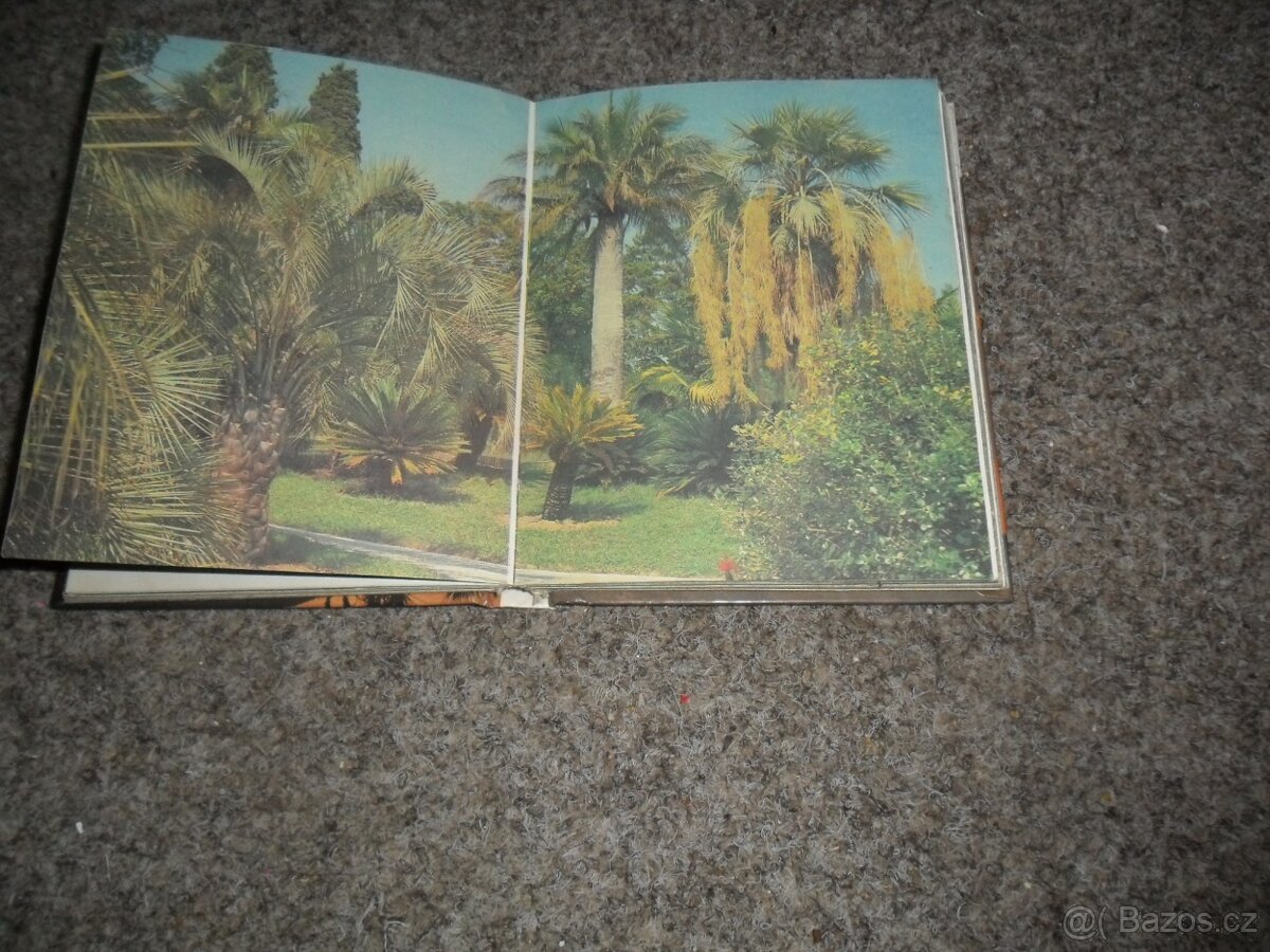 Ukrajina, Rusko, pobřeží Kavkazu, Soči, Moldávie, metro - 8