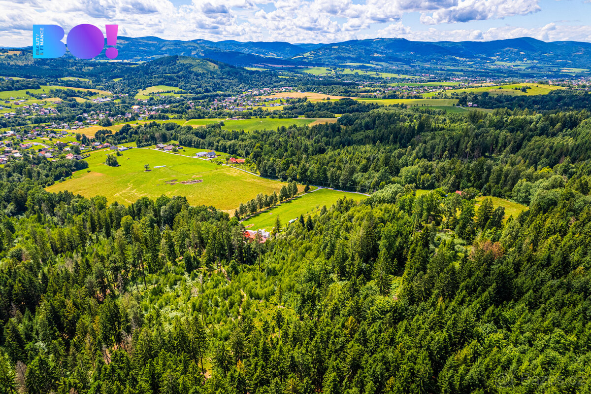 Prodej lesa, 12430 m², Písek - 8