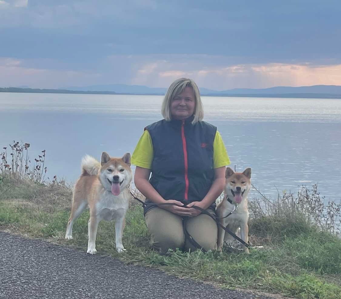 Shiba inu s PP /FCI / - 8