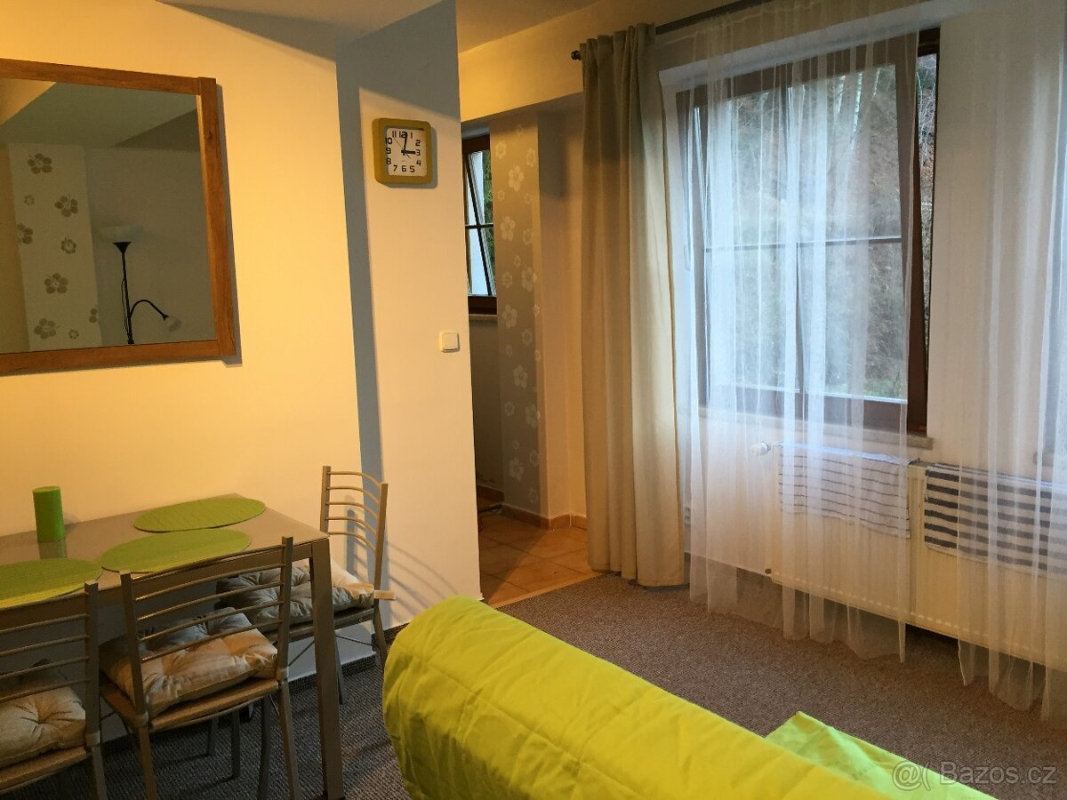 Prodej apartmánu 1+1, Jáchymov - K Lanovce 1048 - 8