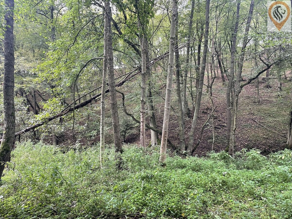 Prodej lesa o výměře 8 326m2 - 8