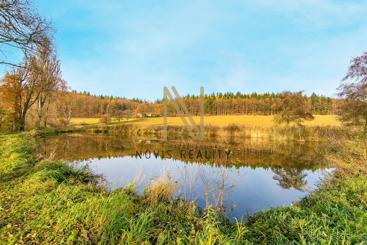 Prodej, rybník, 2 713 m², Týnec, okres Klatovy - 8