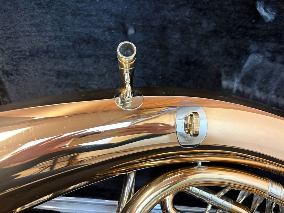 Baryton baskřídlovka V.F. Červený - 8