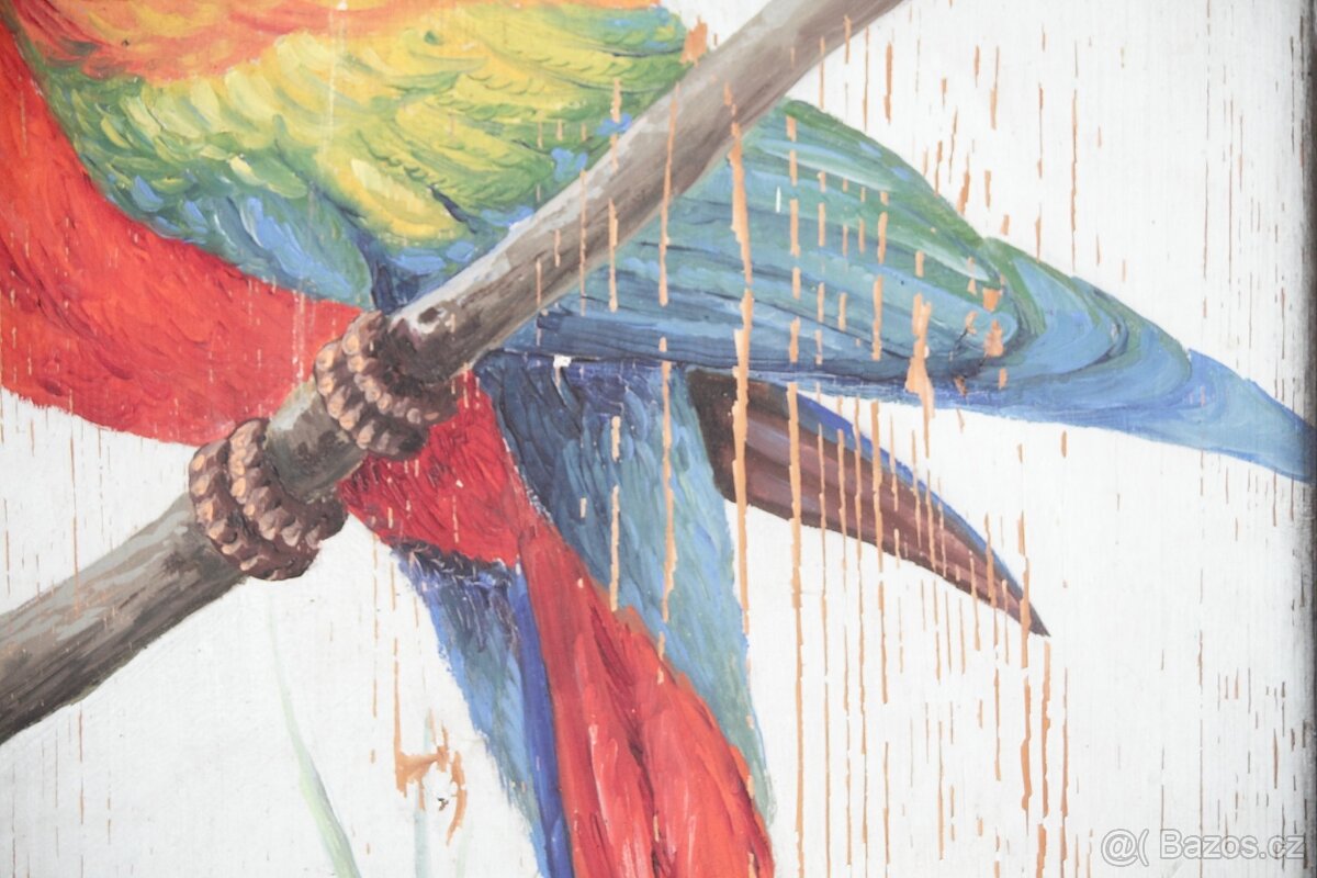 Secesní Dubový Paraván Zástěna Papoušek Ara Restaurováno - 8