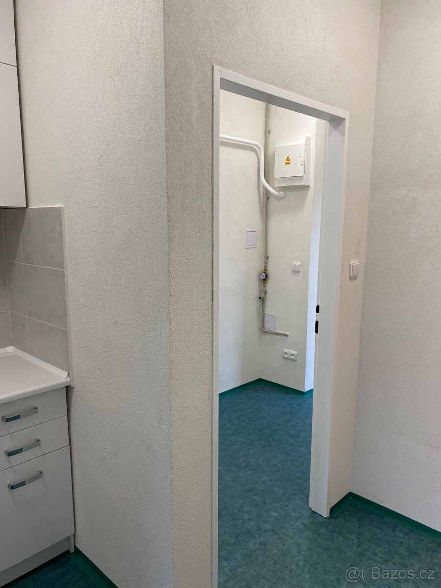 Pronájem nebytového prostoru - 8