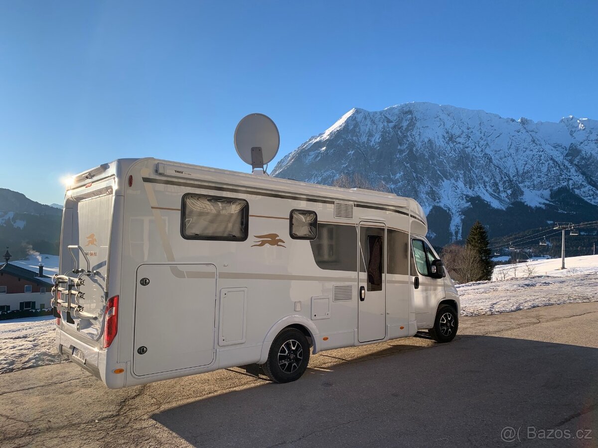 LAIKA KOSMO EMBLEMA 509 - 8