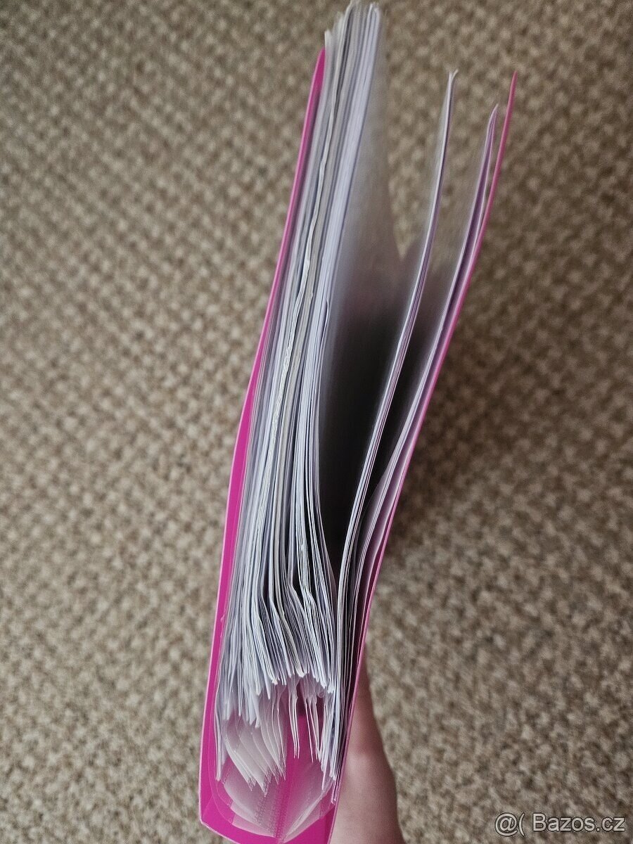 Maturitní otázky- ekonomika, marketing - 8