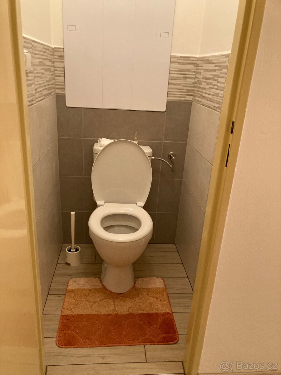Pronájem bytu 3+1 Blansko - 8