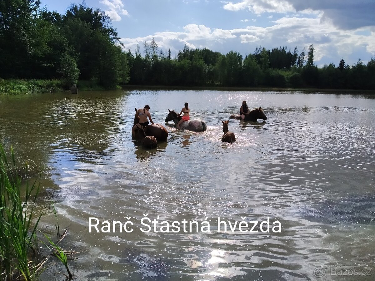 DĚTSKÉ TÁBORY 2026 - 8