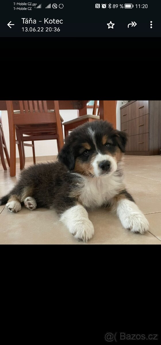 Dřevěný kotec pro psa s boudou. - 8