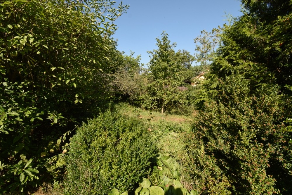 Prodej RD / chalupy v obci Černíkov u Klatov - 8