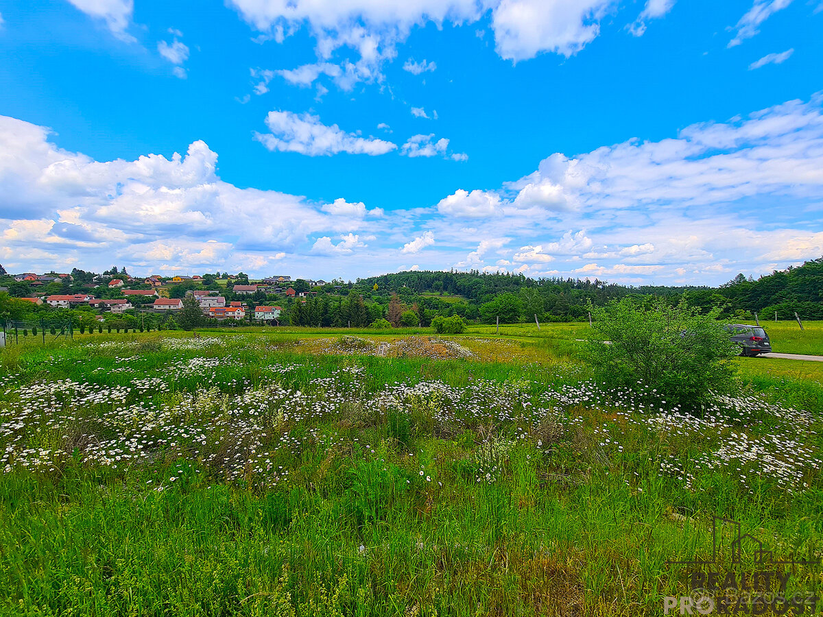 Prodej zahrady 755m2 v Ruprechtově, Zahrada Stavební parcela - 8