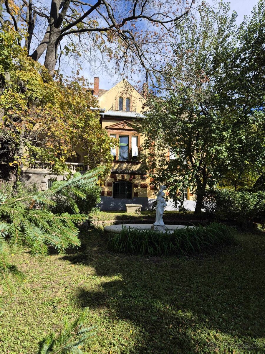 Vila v Budapešti - 8