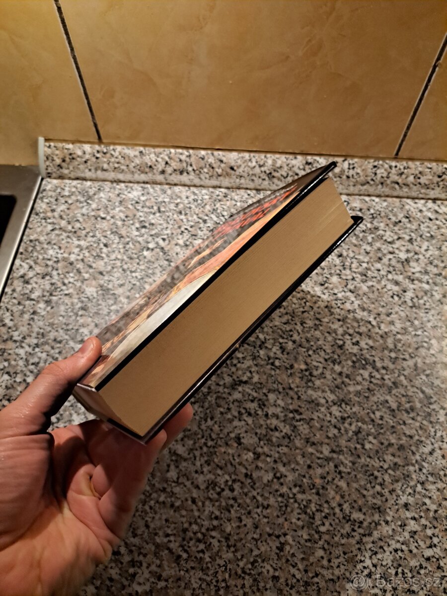 Královský pitaval: Kralovraždy ve světových dějinách - Ervín - 8