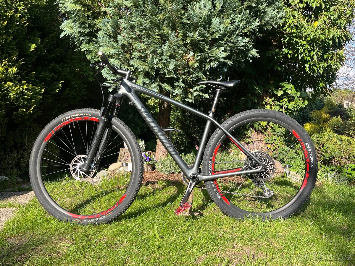 SPECIALIZED EPIC HT Karbon - 8