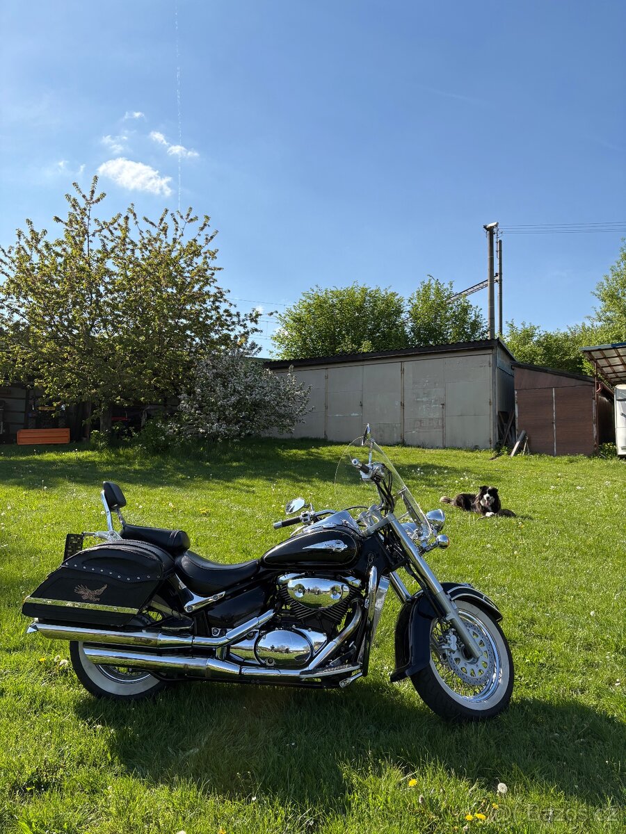 Suzuki Volusia 800 - 8