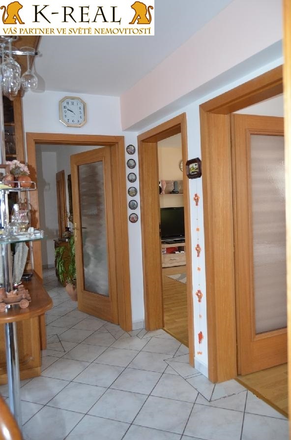 Pronájem byt 4+kk Židlochovice, okr. Brno - venkov - 8