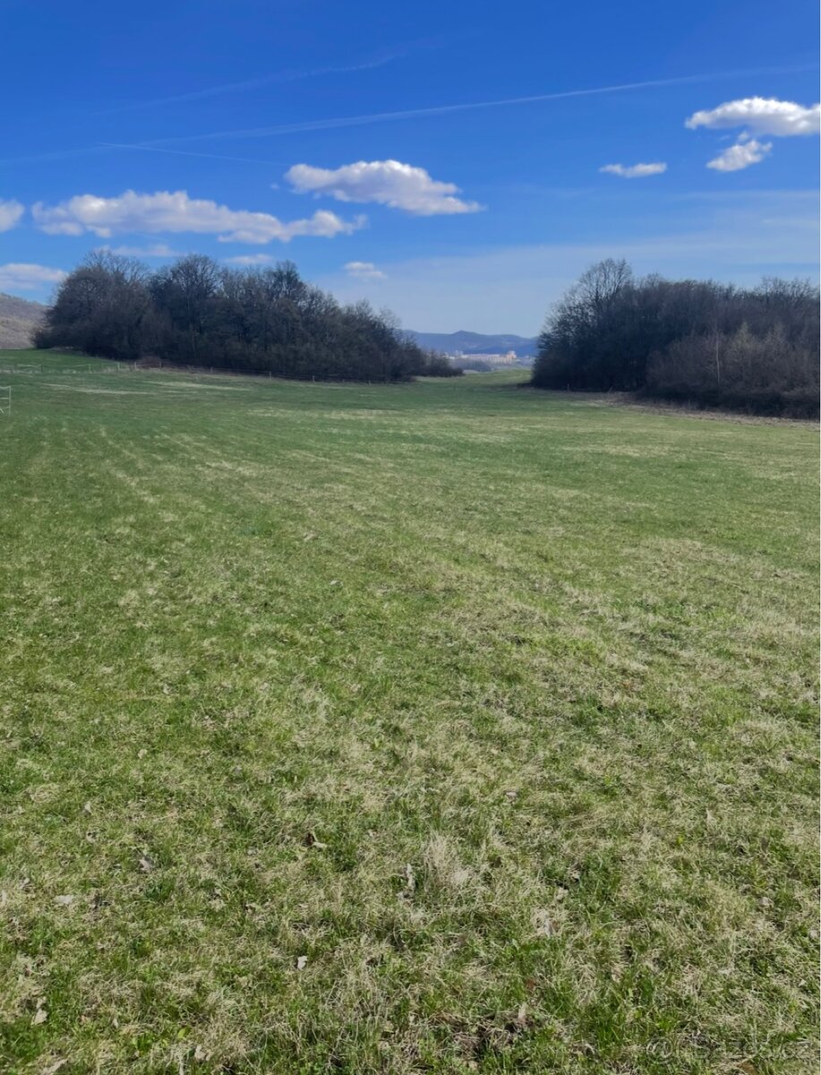 Boxové ustájení - 8