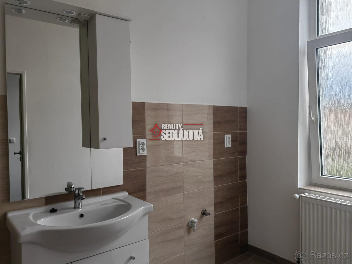 Pronájem bytu 1+1 v cihlovém domě se zahradou, Děčín II - 8