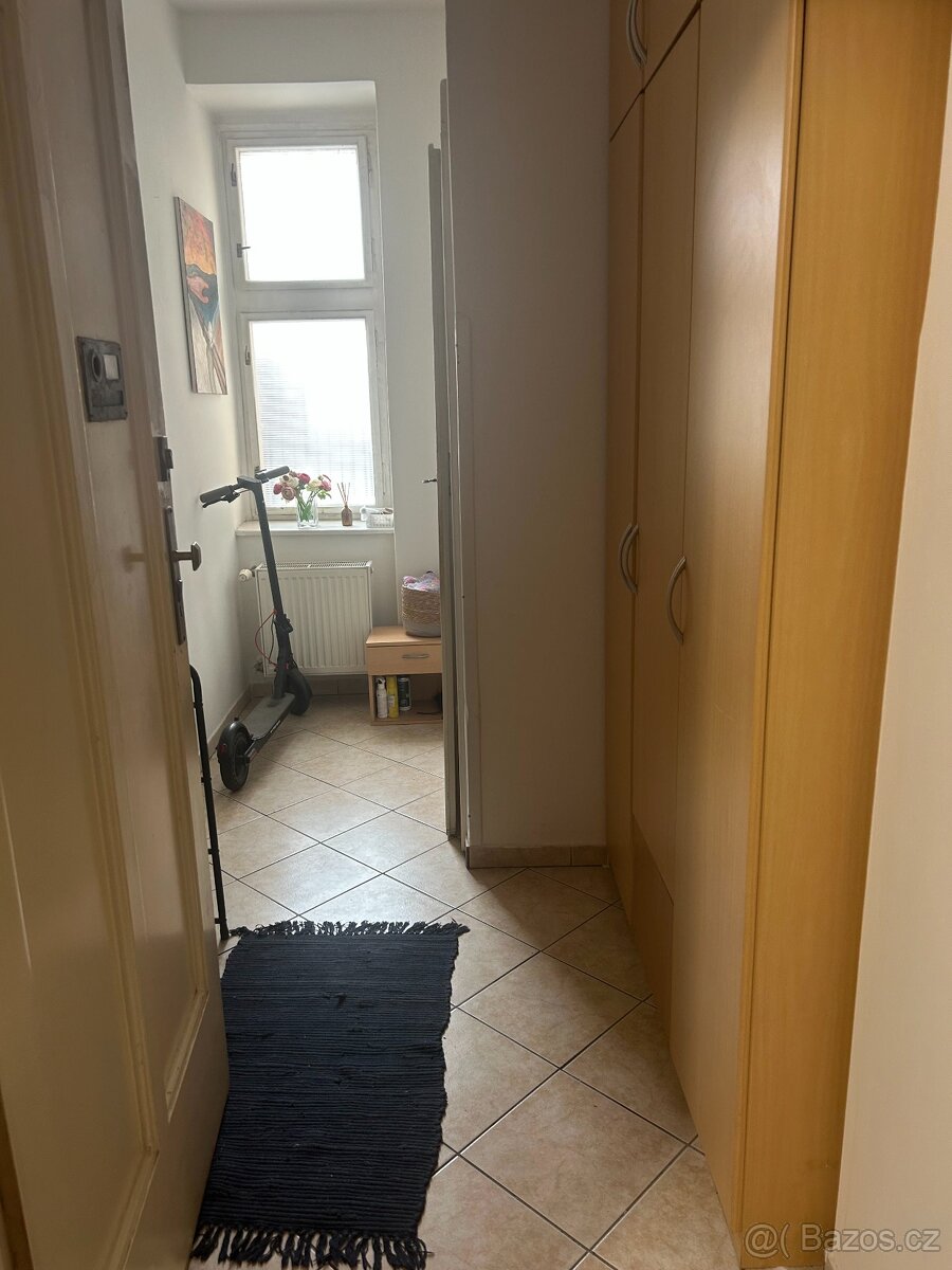 Pronájem bytu 1+1 Žižkov - 8