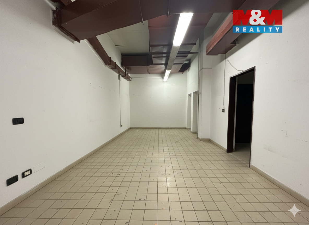 Pronájem obchod a služby, 2000 m², Štětí, ul. Obchodní - 8