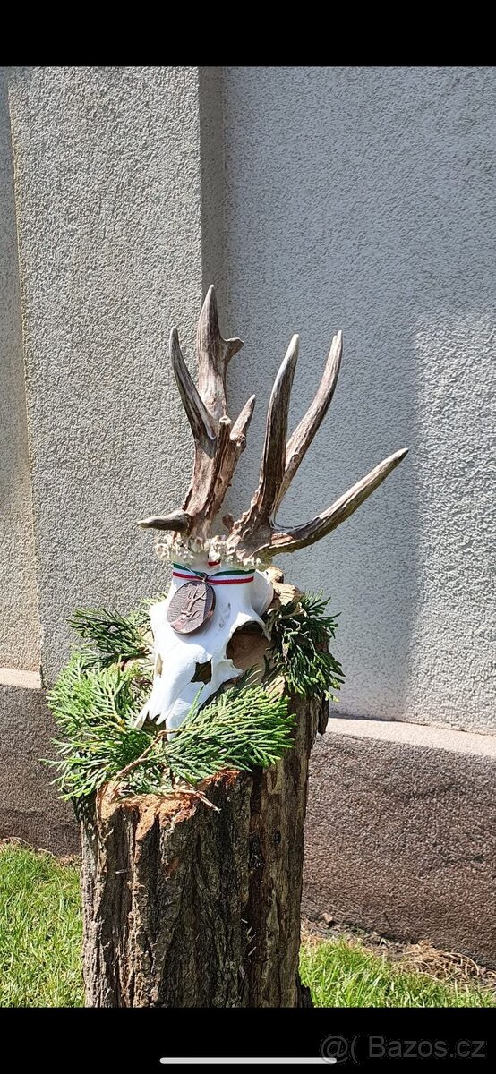 Polovačka v maďaesku - 8