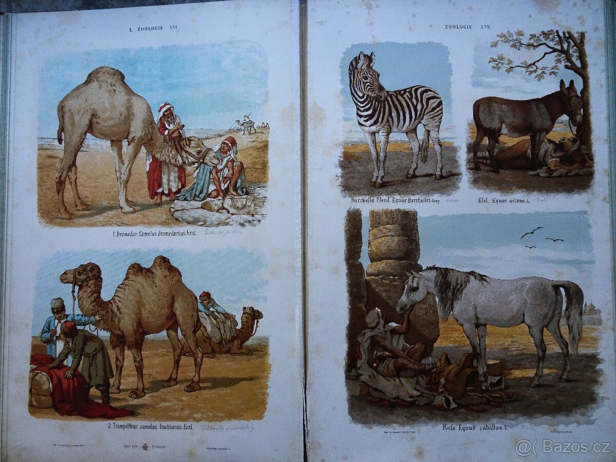 GROSSER HANDATLAS - 8