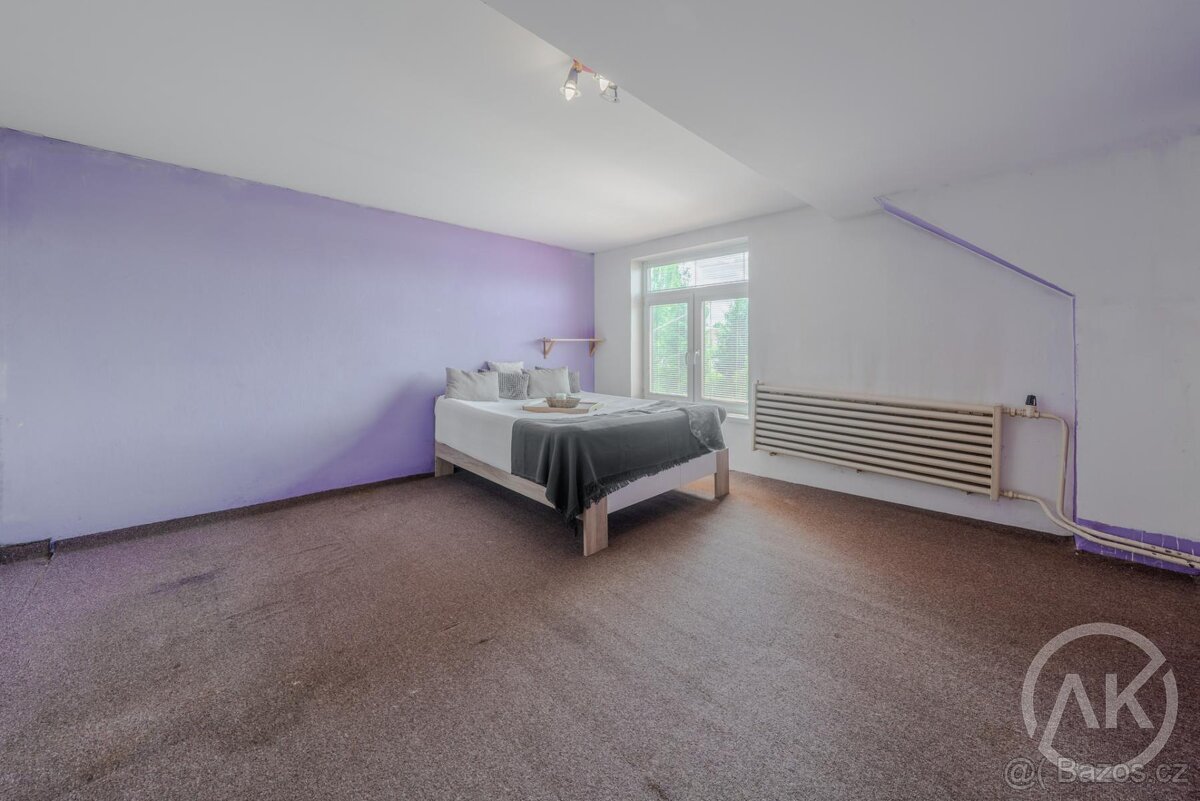 Prodej staršího domu s velkým pozemkem, Sedlnice - 8