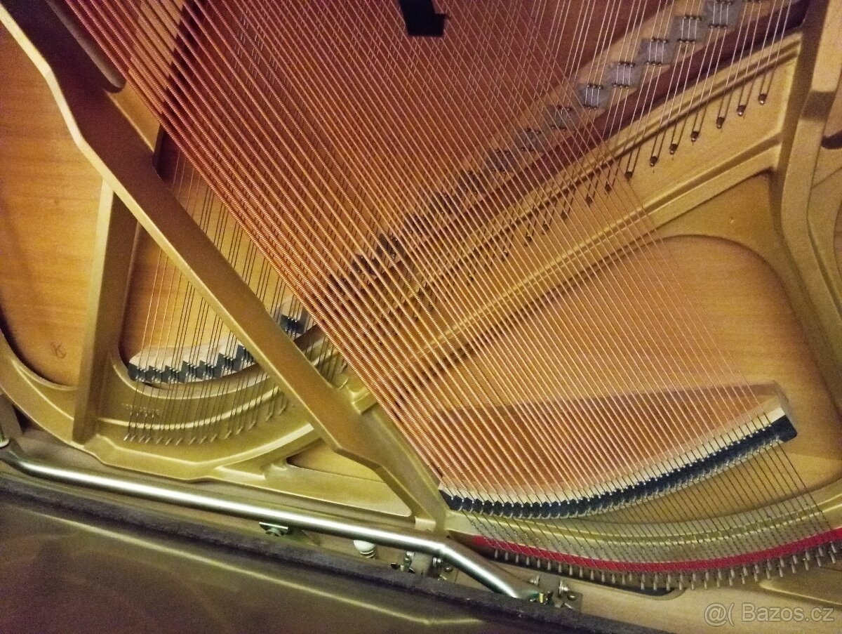 Eterna(Yamaha)mod.110- Dovoz po ČR zdarma 24/7 - 8