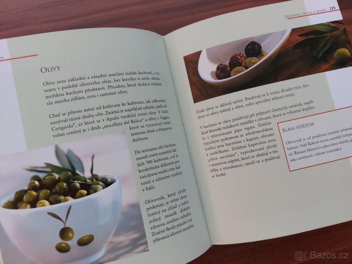 LEXIKON TĚSTOVINY příprava, recepty - kniha za cenu časopisu - 8